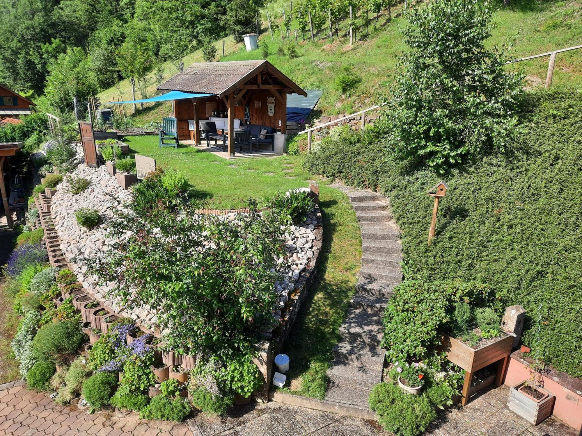 Saint-Martin  Chambres D'Hotes "Au Val Sejour" Alsace מראה חיצוני תמונה
