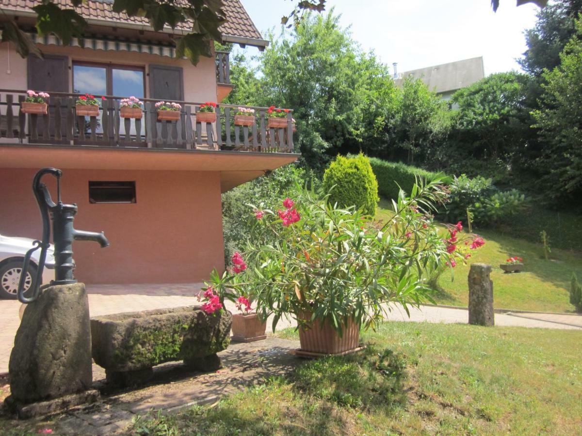 Saint-Martin  Chambres D'Hotes "Au Val Sejour" Alsace מראה חיצוני תמונה